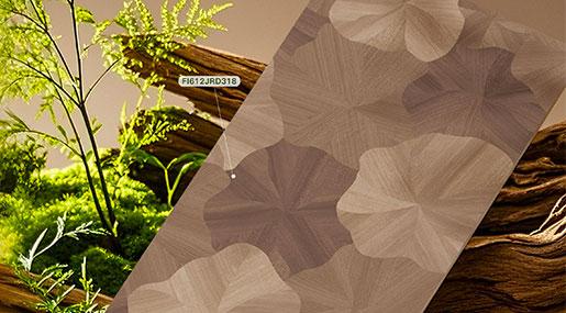 丝绒木语•暖屿层秋 | 秋日的温柔，每一寸都涌动成诗